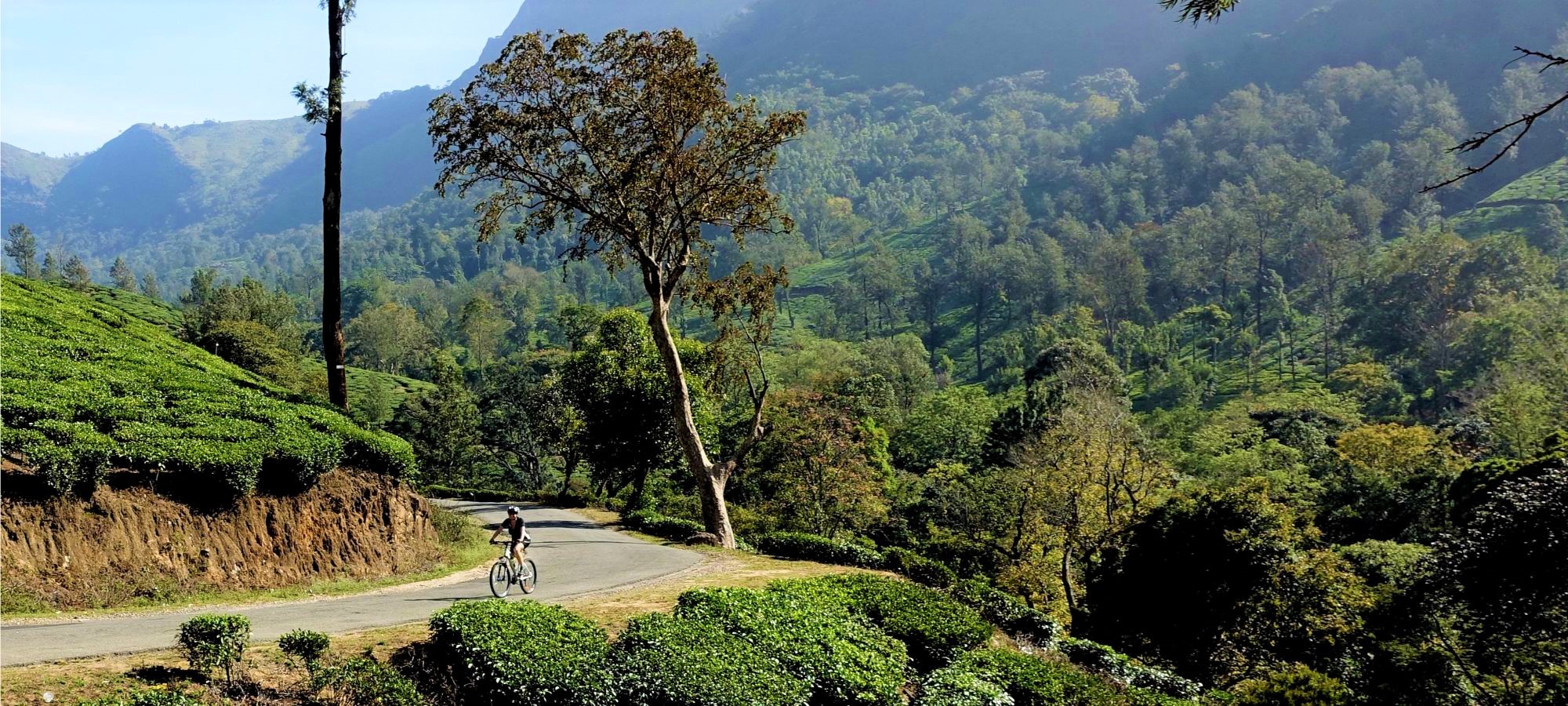 Cycling Holidays - Kerala - Tamil Nadu 